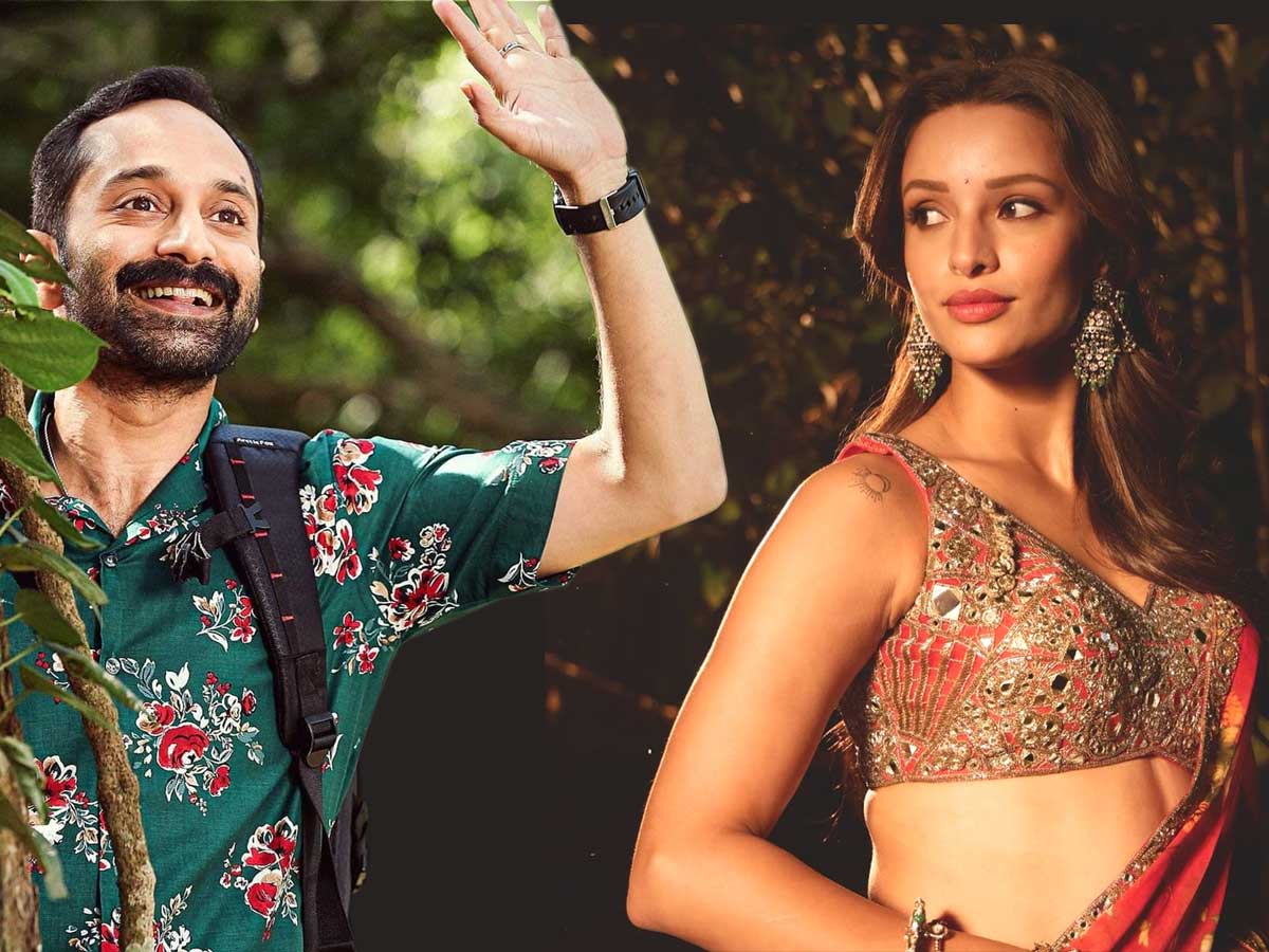 Fahadh Faasil To Romance With Tripti Dimri