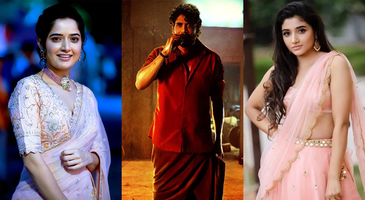 Female Leads In Nagarjuna Naa Saami Ranga