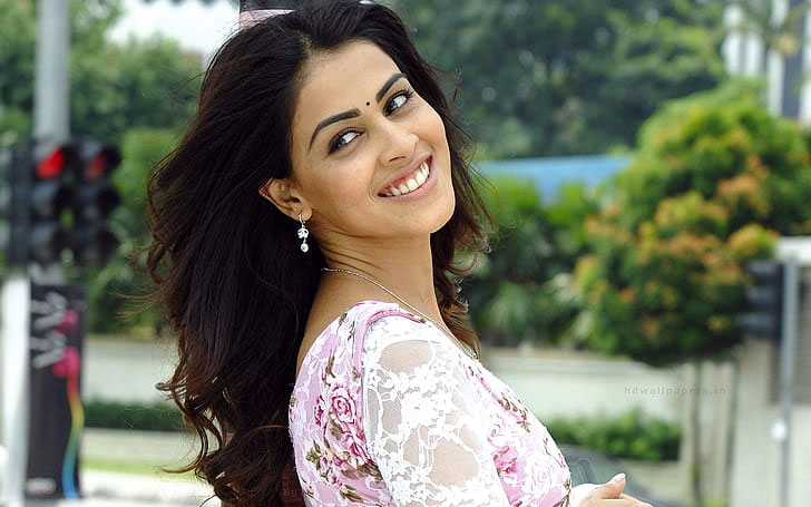 Genelia in Chiranjeevi's Lucifer?