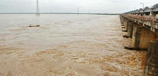 Godavari in spate; second warning alert announced