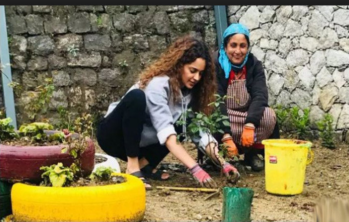 Kangana Ranaut planting trees