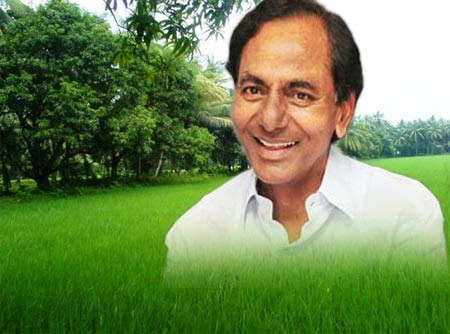 Let's make Hyderabad a green carpet, says KCR