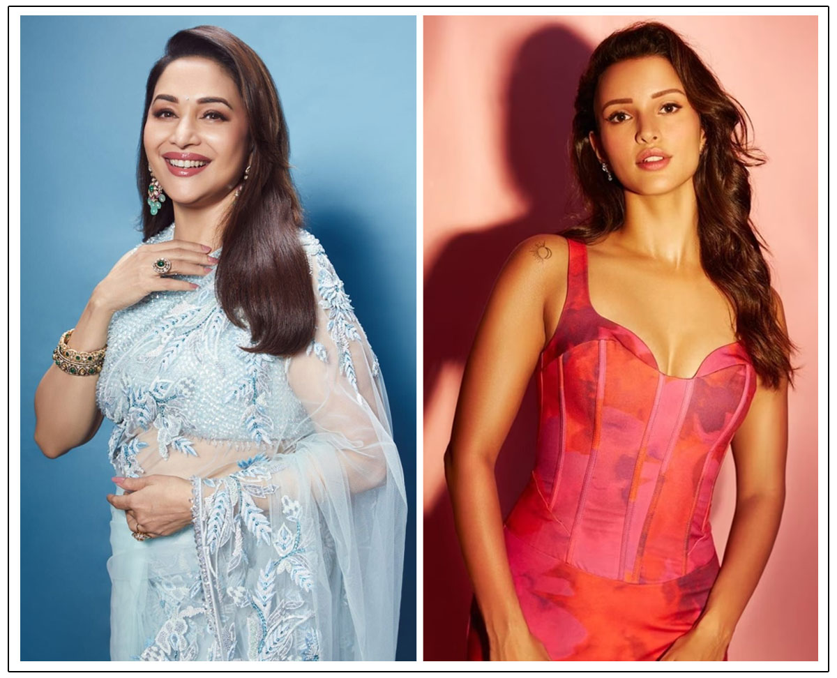 Madhuri Dixit And Tripti Dimri portraying a mother-daughter roles 