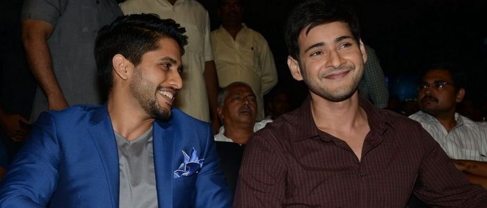 Mahesh Babu and Naga Chaitanya's Roles Doubtful for NTR?