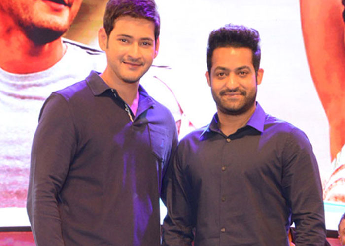 Mahesh Babu and NTR Fans War Intensifies