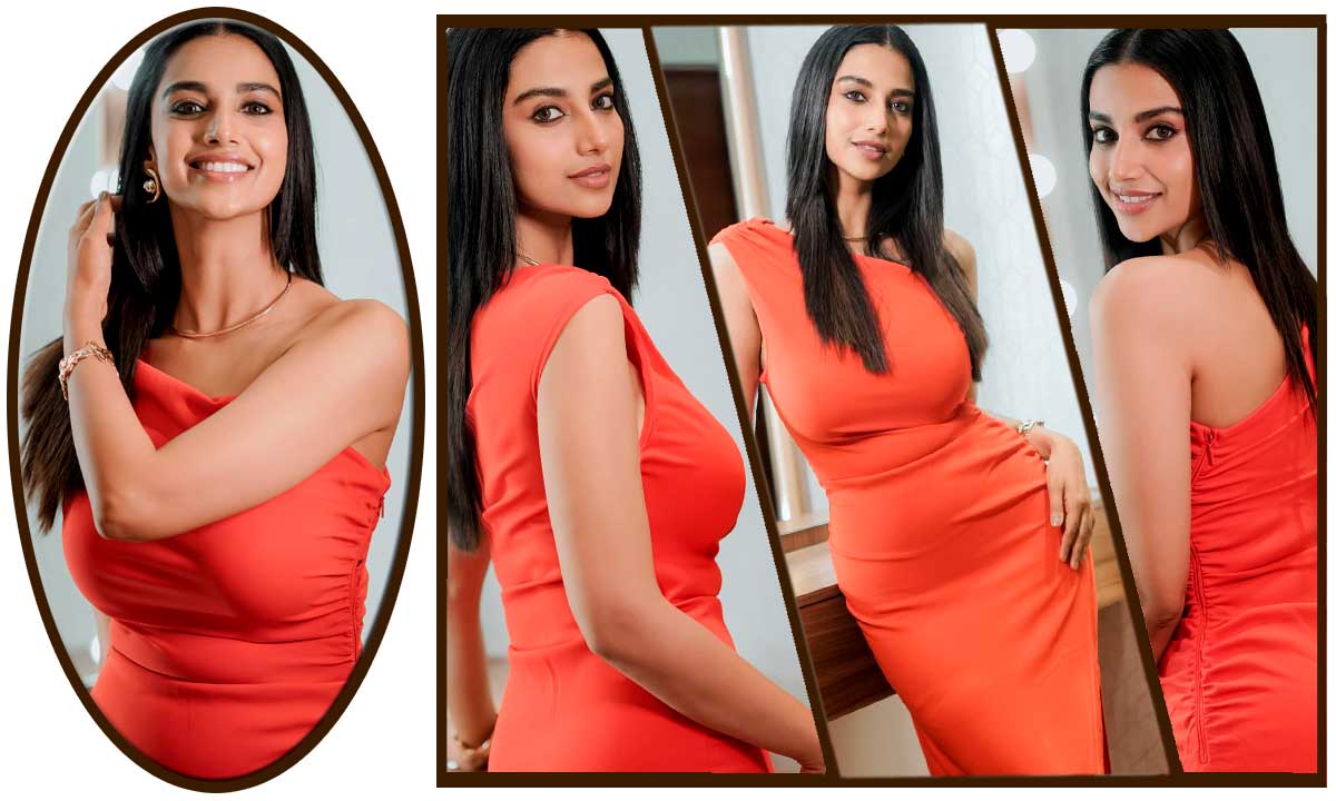 Meenakshi Chaudhary shared captivating images