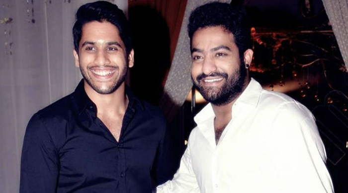 Naga Chaitanya And Jr NTR