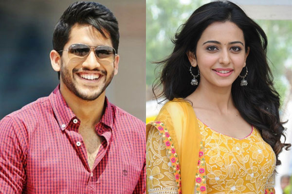 Naga Chaitanya and Rakul Preet Singh's Kalyanam Film Soon