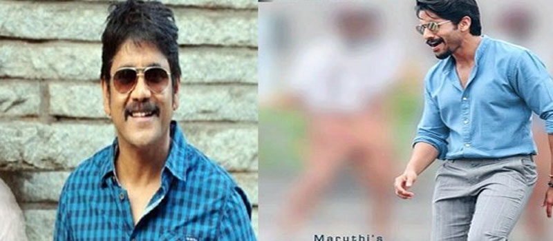 Naga Chaitanya Competing with Nagarjuna?