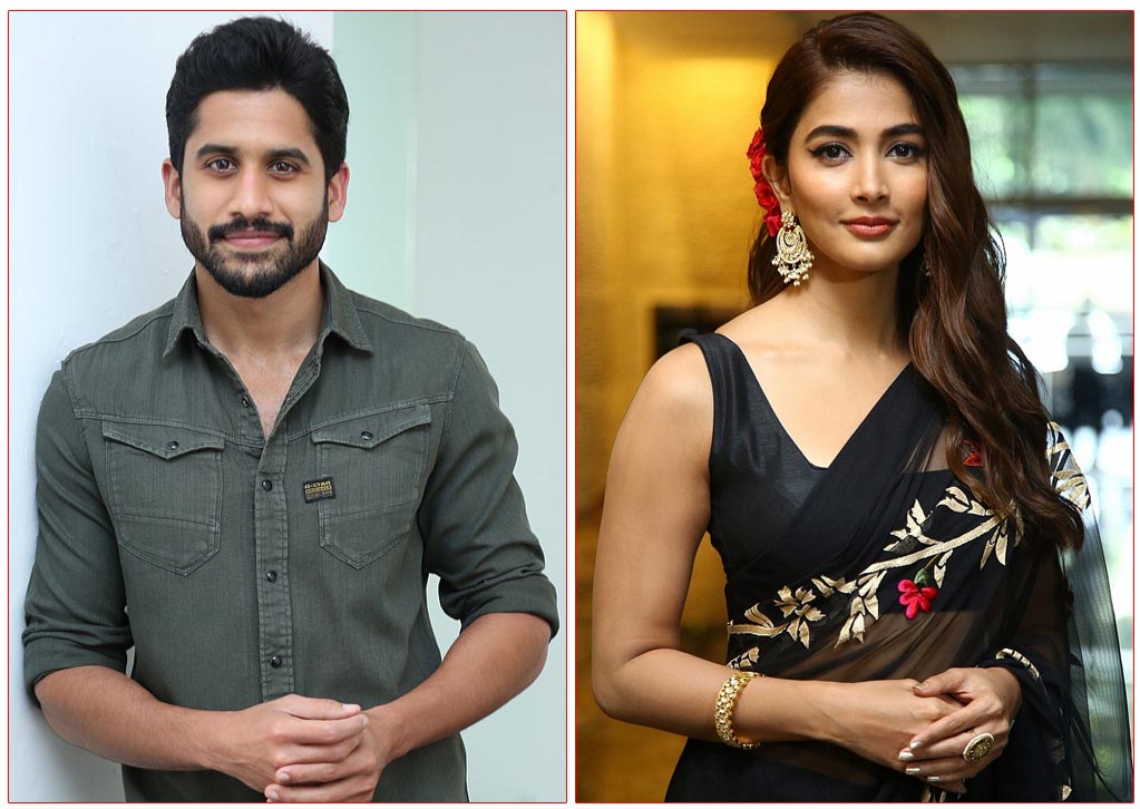 Naga Chaitanya is all set to star opposite Pooja Hegde