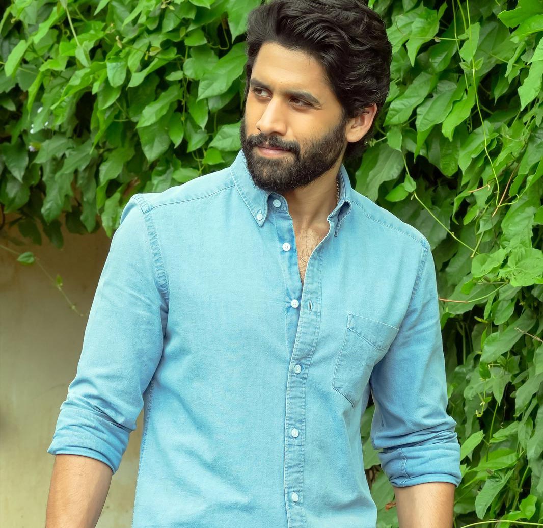 Naga Chaitanya not in Bhool Bhulaiyaa 2 remake | cinejosh.com