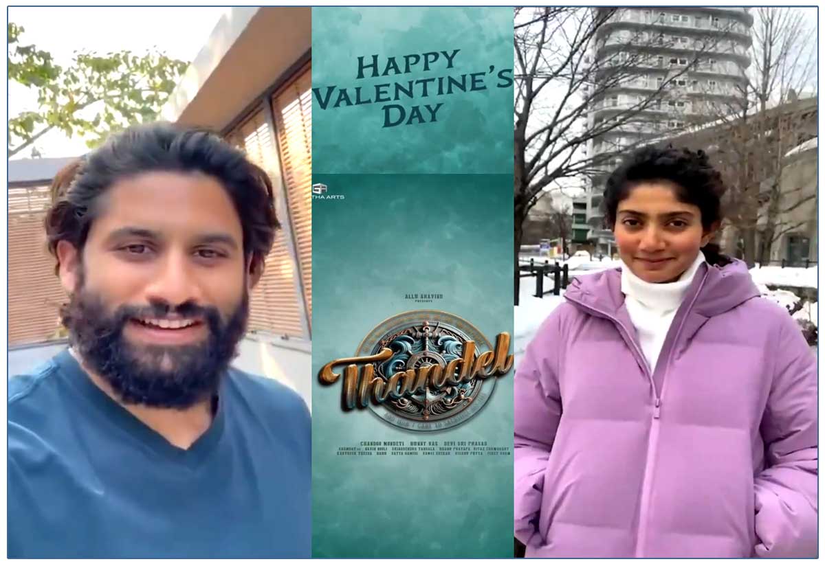 Naga Chaitanya special message on VD for Thandel