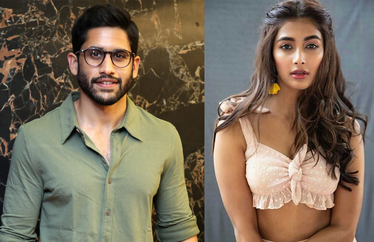 Naga Chaitanya to romance Pooja Hegde?