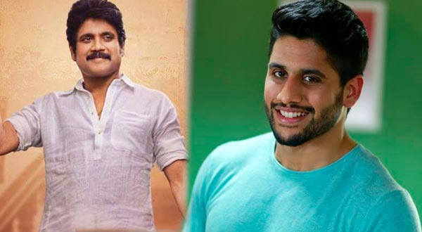 Nagarjuna, Akhil, Naga Chaitanya Four Movies Releasing