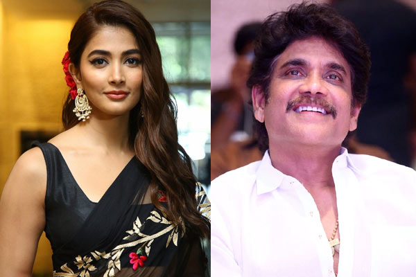 Nagarjuna and Pooja Hegde springs a surprise