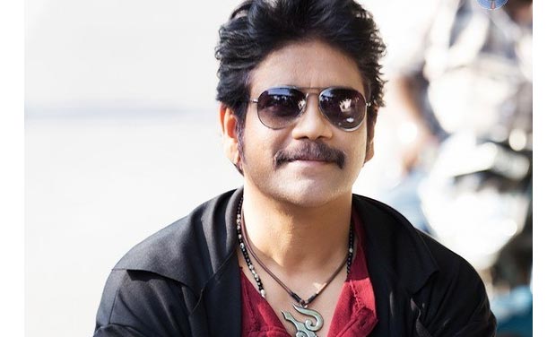 Nagarjuna in Raju Gari Gadhi 2