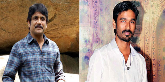 Nagarjuna to Team up with Dhanush!