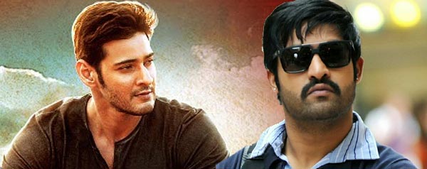 No Stories for Mahesh Babu, NTR!