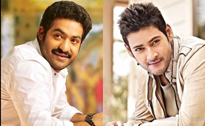 NTR And Mahesh Babu