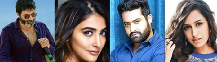 NTR and Trivikram's Combo Film Has Two Heroines