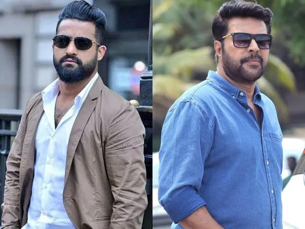 NTR-Mammootty