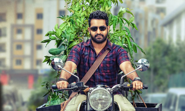 NTR Should Take up Plantation Programs