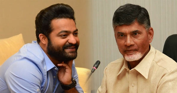 NTR TDP