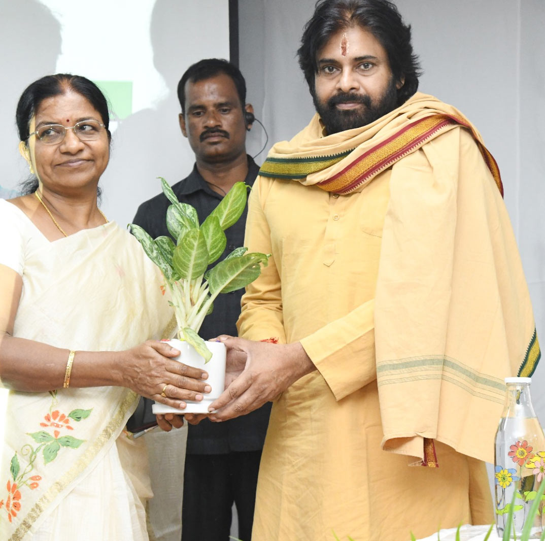 Pawan Kalyan orders chopping of trees