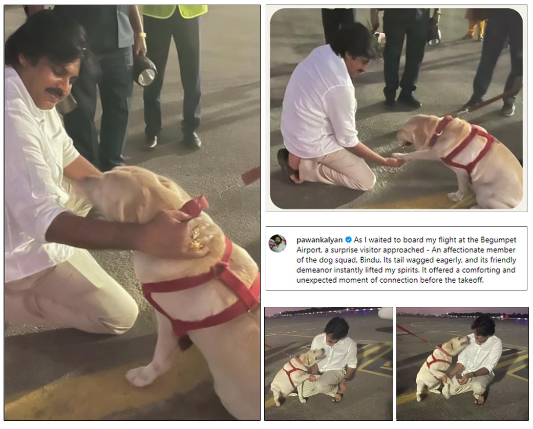 Pawan Kalyan Playful Act With Dog Goes Viral