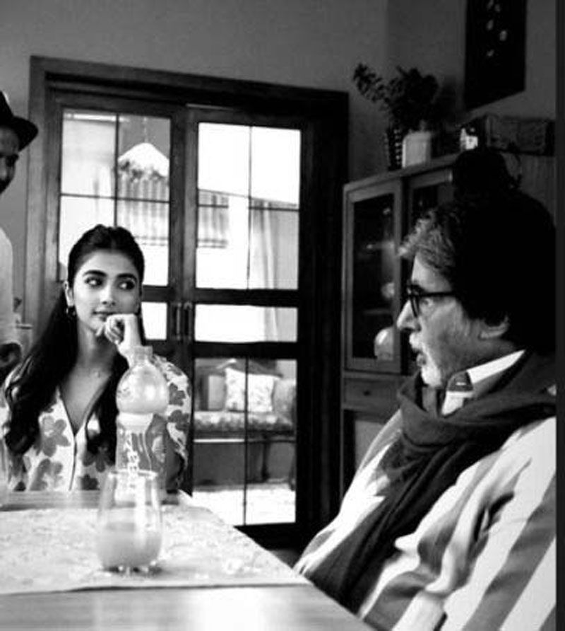 Pooja Hegde Displays Her Admiration For Amitabh