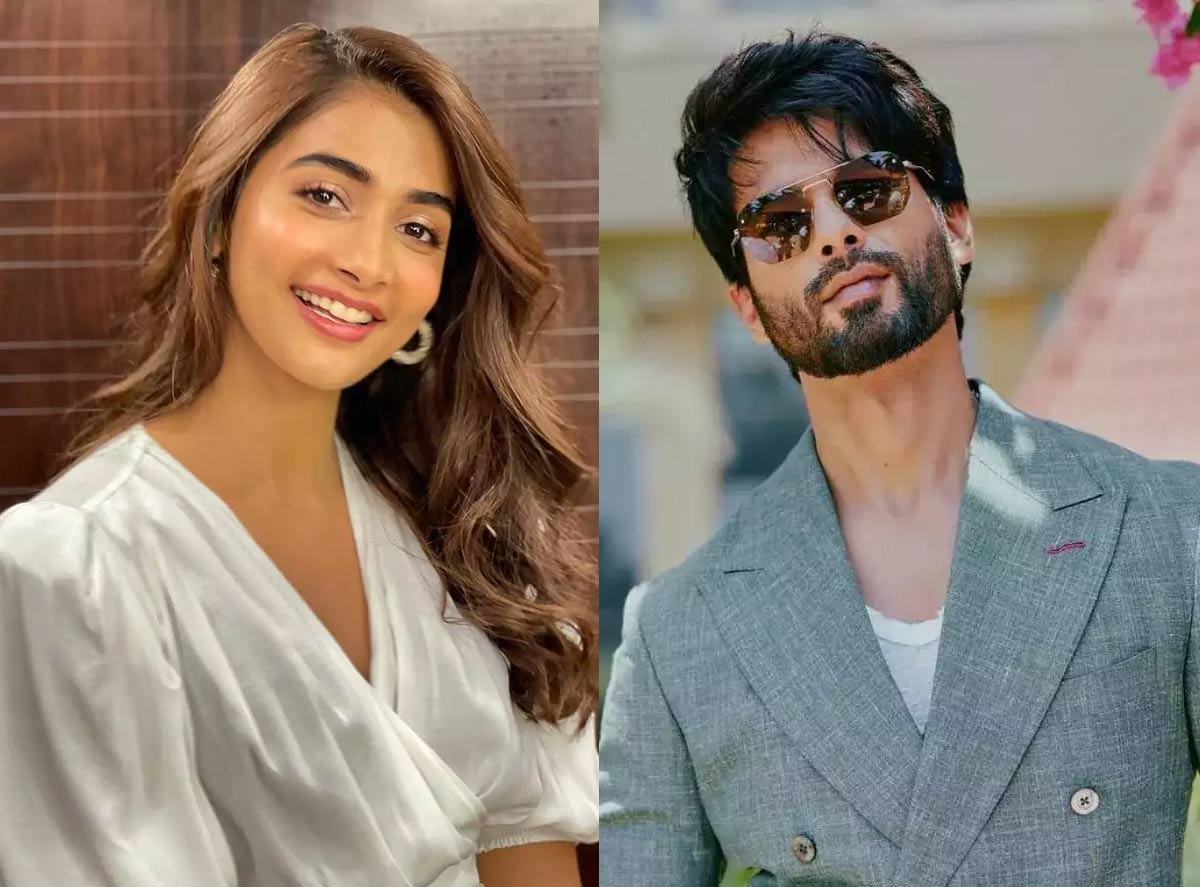 Pooja Hegde praises Shahid Kapoor