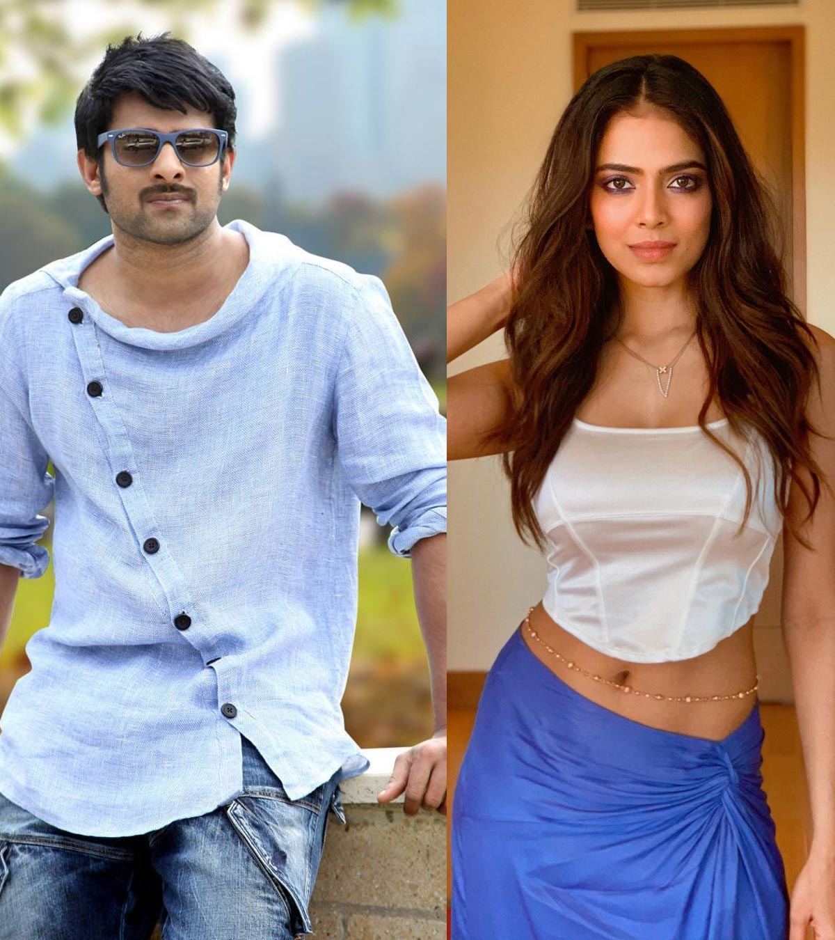 Prabhas - Maruti movie update 