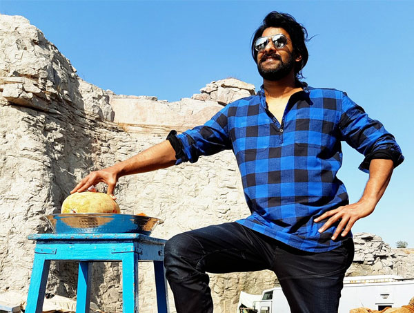 Prabhas' Pose at Baahubali 2's Pumpkin Breaking Moment