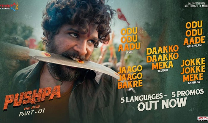 Pushpa 1st Song Promo: Highly Intense