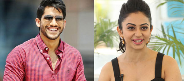 Rakul Preet Singh to Romance Naga Chaitanya