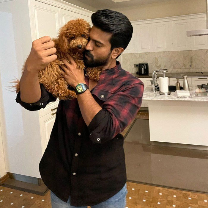 Ram Charan's pet Rhyme becomes the centre of attraction