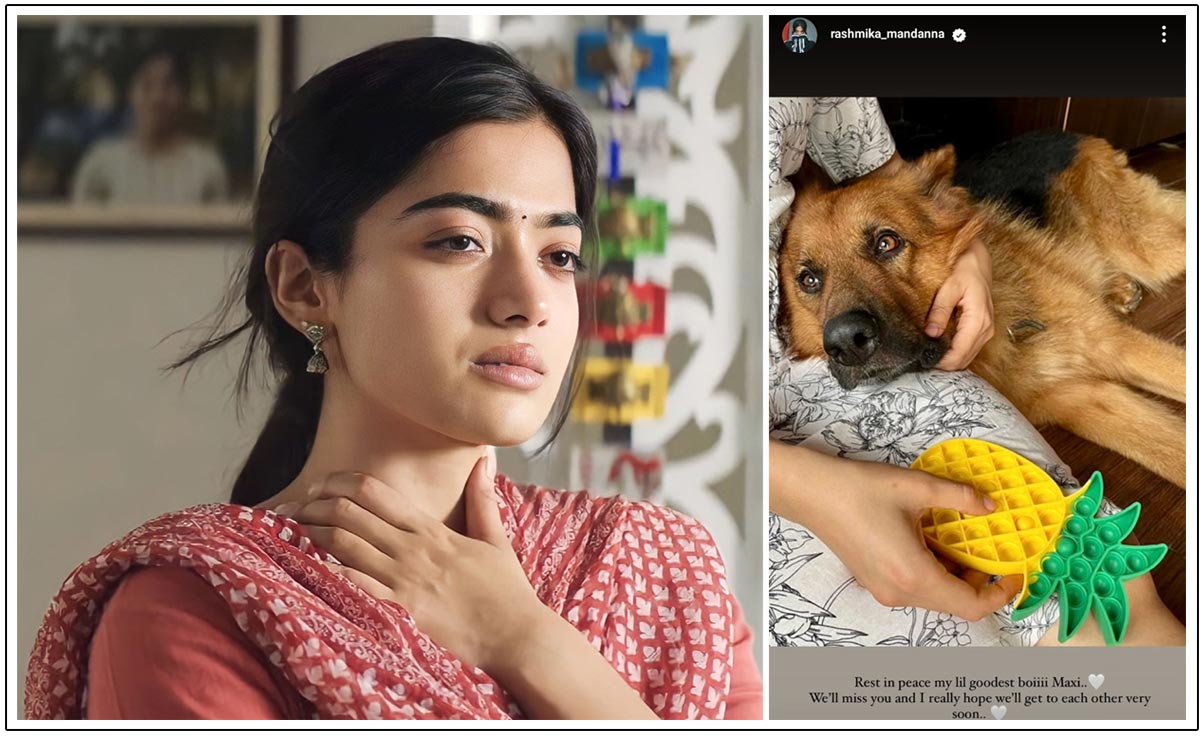 Rashmika Mandanna express her heartfelt grief over the loss of her cherished family pet Maxi