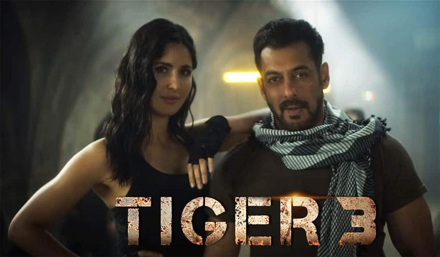 Rumours On Salman Role In Tiger 3