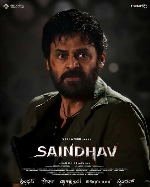 Saindhav 2024