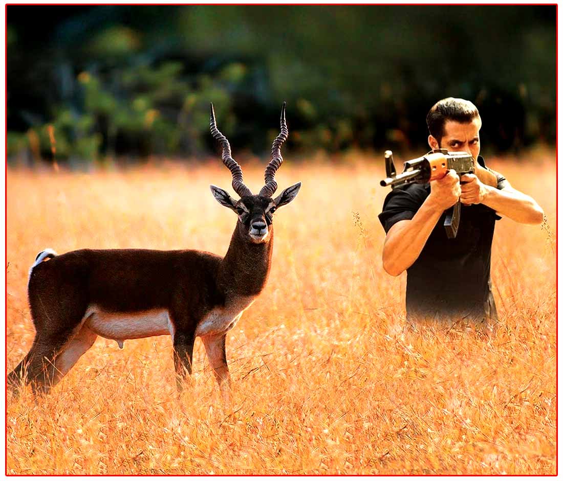 Salman reacted to the incident of hunting blackbucks