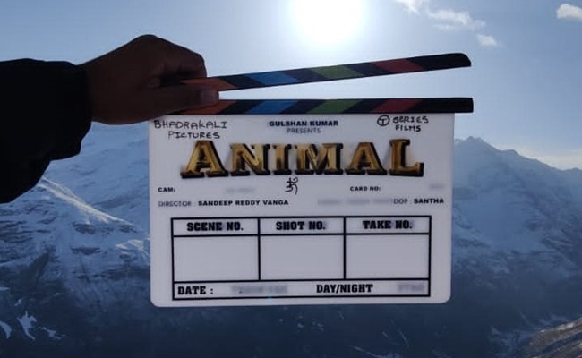  Sandeep Reddy's Animal shoot starts