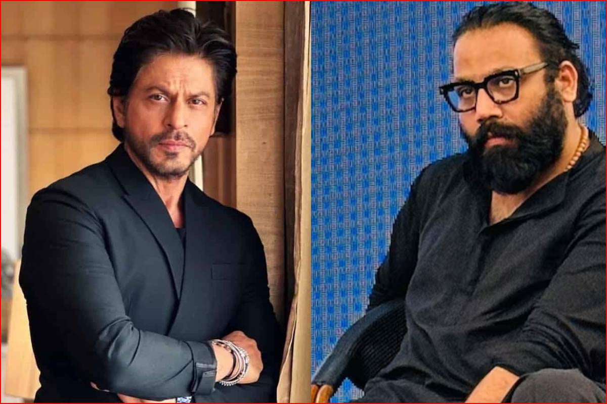 Shah Rukh special request to Sandeep Vanga