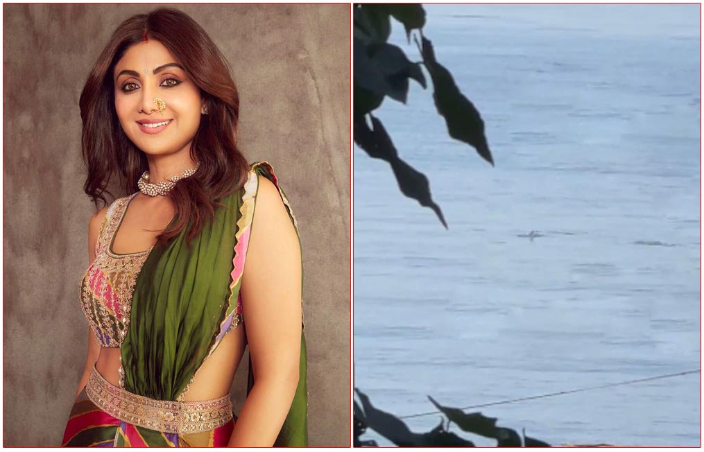 Shilpa Shetty Spots Dolphins From Her House