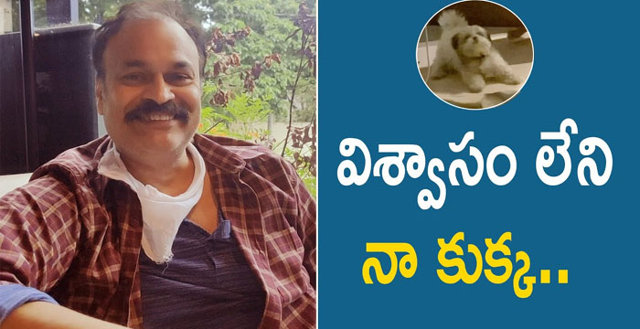 Shock! Nagababu's Dog Betrays HIm!