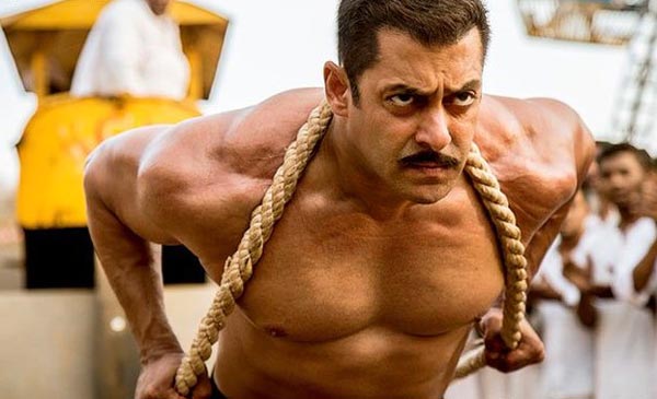 Sultan - No Hero In Telugu