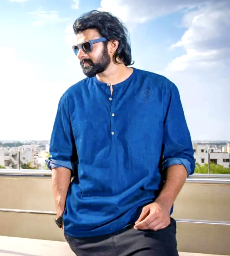 There are often fake news about Prabhas