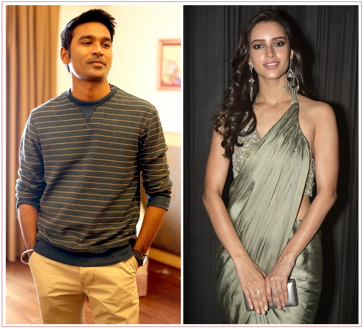 Tripti Dimri is reportedly in talks to star opposite Dhanush