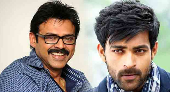 Venkatesh and Varun Tej's Heroines in F2 Confirmed