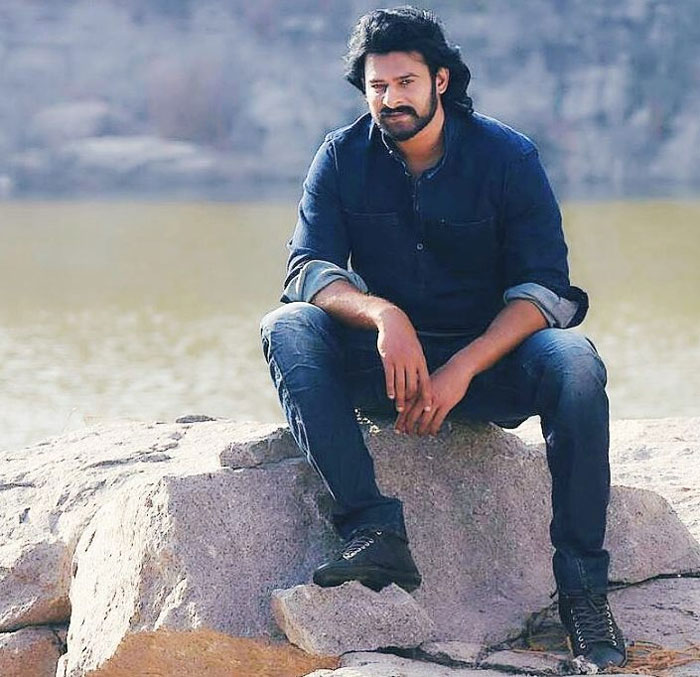 Young Rebel Star Prabhas