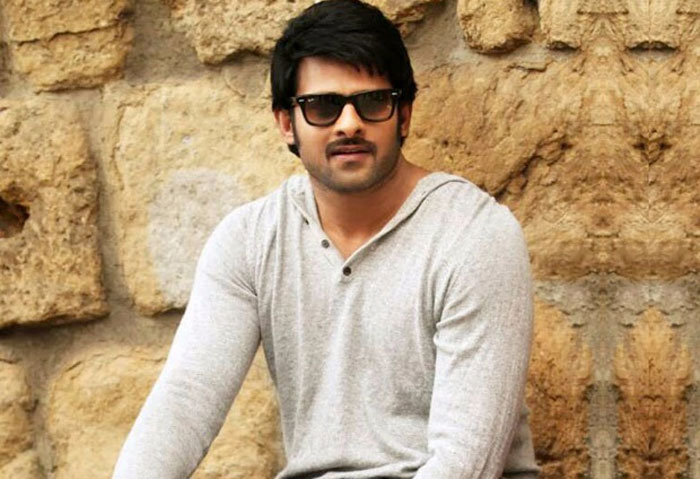 Young Rebel Star Prabhas